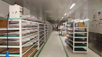 響應一帶一路倡議，燈具塑件企業(yè)積極拓展海外市場