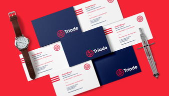 專業(yè)塑造信任 Triade工業(yè)品檢測企業(yè)品牌VI形象設計與企業(yè)形象策劃